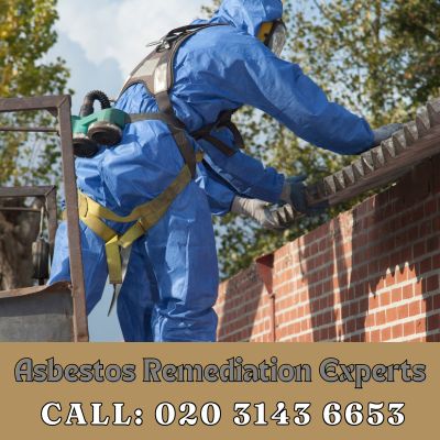 Asbestos Remediation Experts Seven Kings