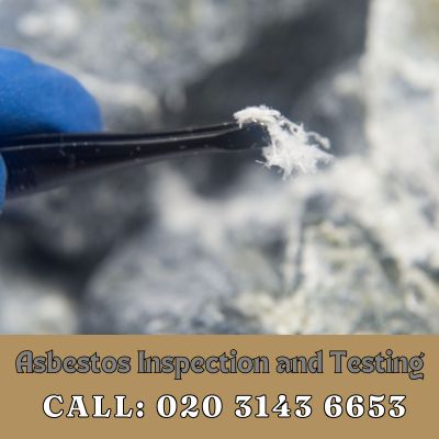 Comprehensive Asbestos Inspection and Testing Services in Seven Kings